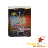 LOVE IN PARIS